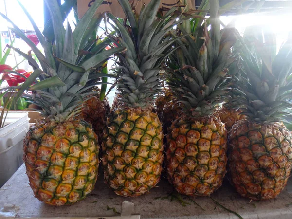 Pineapples Farmer Market Hilo Hawaii — Stock Photo, Image