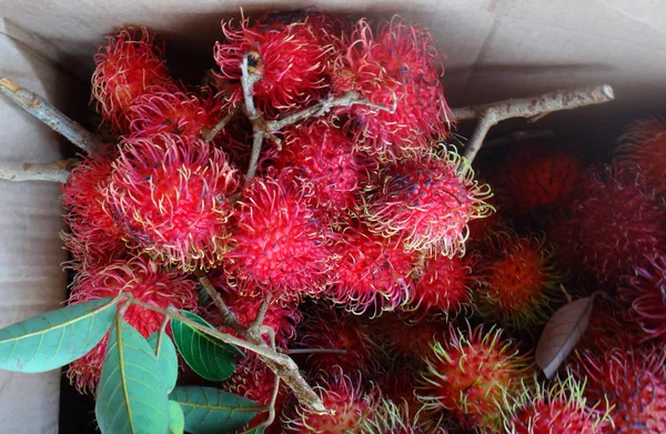 Lychees Farmer Market Hilo Hawaii — Stock Photo, Image