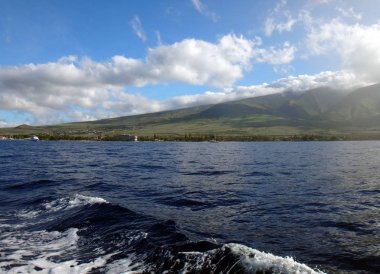 Lahaina, Hawaii yakınındaki west Maui toplayan.