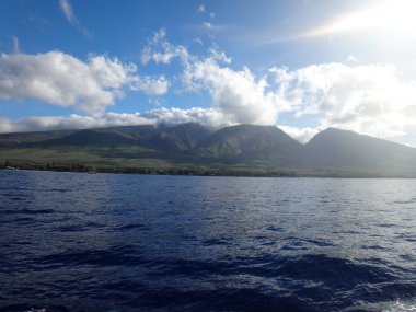 Lahaina, Hawaii yakınındaki west Maui toplayan.