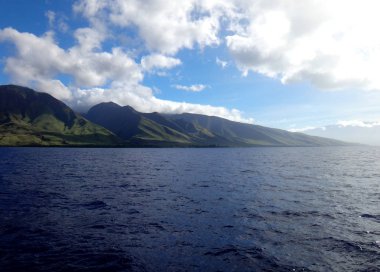 Lahaina, Hawaii yakınındaki west Maui toplayan.