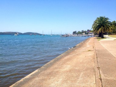 Sahne Toronto, göl Macquarie Nsw Avustralya.