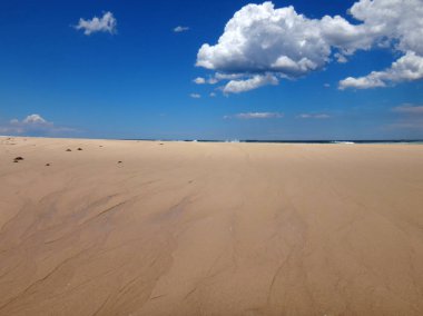 Dunleith noktası, giriş, Nsw Central Coast Avustralya plaj sahnesi.