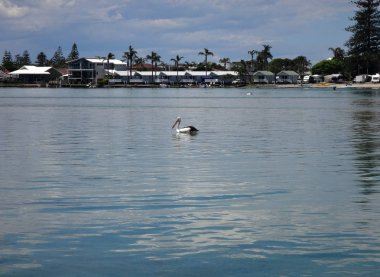 Giriş, Nsw Central Coast Avustralya Waterfront sahne. 