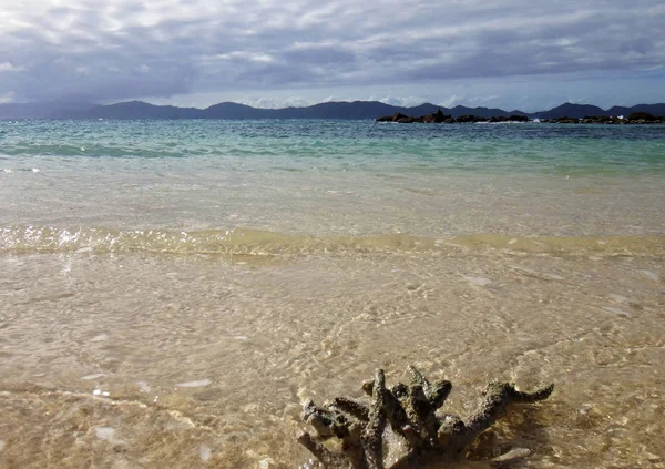 En bit av koraller på stranden, Doini ö, Papua Nya Giunea. — Stockfoto