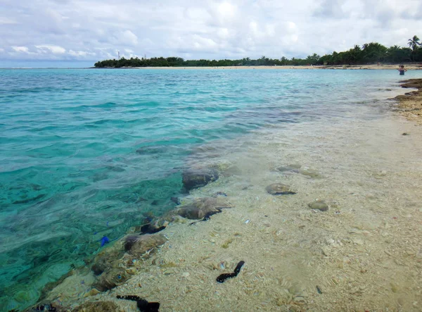 Scène de Mystery Island, Aneityum, Vanuatu . — Photo