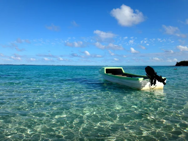 Escena de la Isla del Misterio, Aneityum, Vanuatu . — Foto de Stock