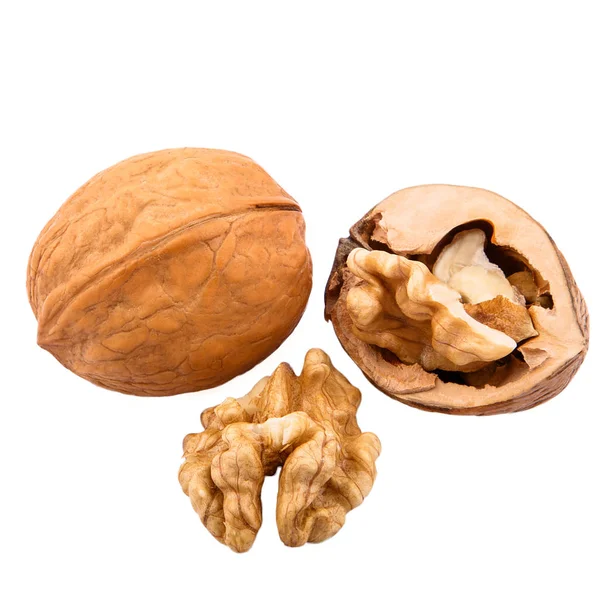 Walnuts in shells isolated on white background — Stock Photo, Image