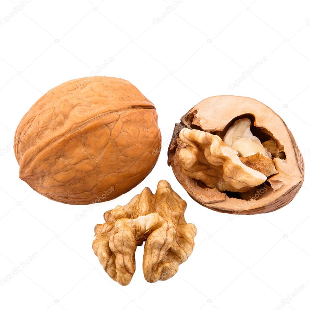 walnuts in shells isolated on white background
