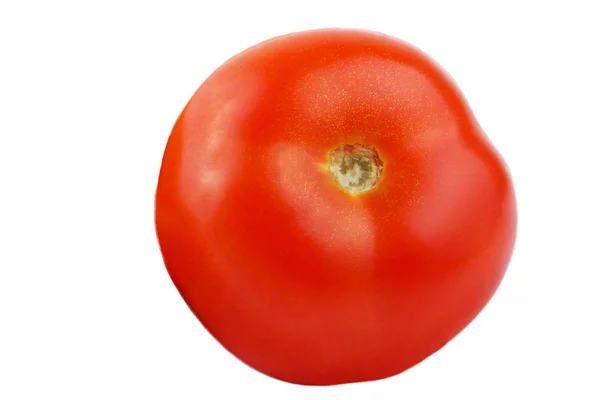 Horizontal un tomate aislado sobre fondo blanco . — Foto de Stock