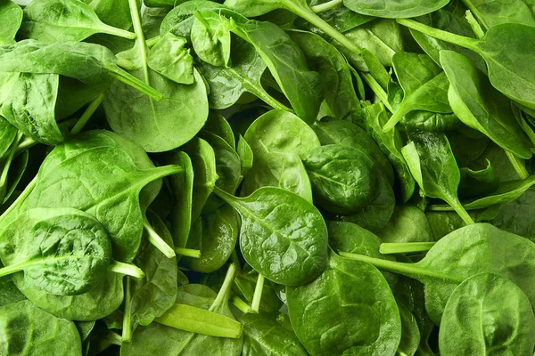 Зеленый салат из листьев валерианы — стоковое фото