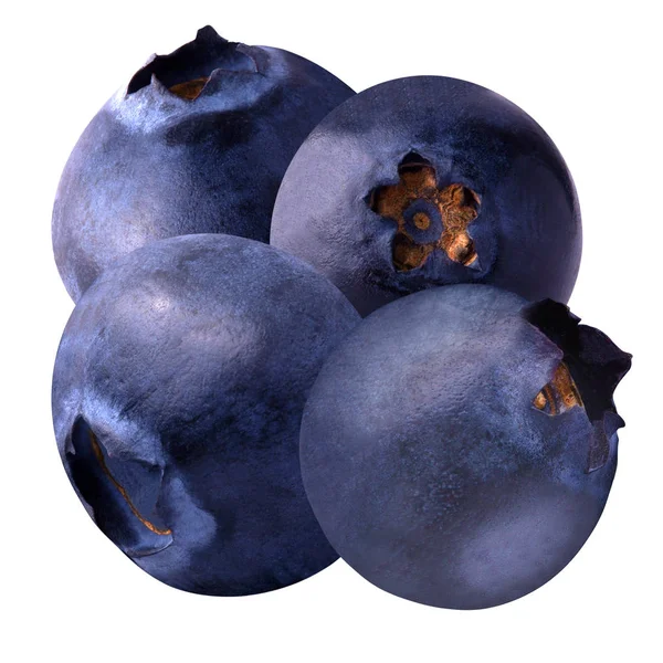 Four blueberries isolated on white background. — Stock Photo, Image