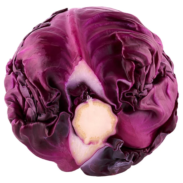 Elszigetelt, gyönyörű piros savoy cabbage.psd — Stock Fotó
