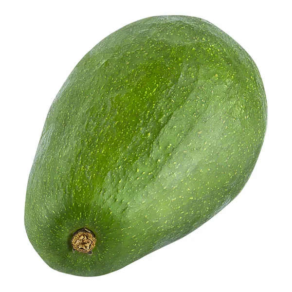 Één geïsoleerde avocado — Stockfoto