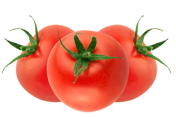 Tres tomates frescos aislados en blanco —  Fotos de Stock