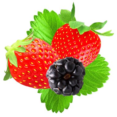 Çilek ve böğürtlen üzerinde beyaz izole