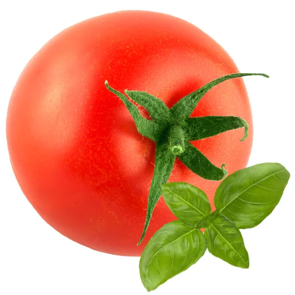 Frische Tomaten und Basilikum isoliert auf weiß — Stockfoto