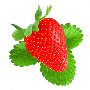 Bir çilek beyaz izole yaprak ile