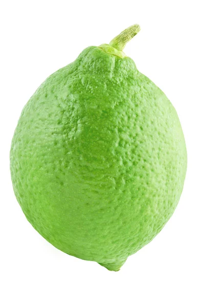 One lime isolated on white — Stock Photo, Image