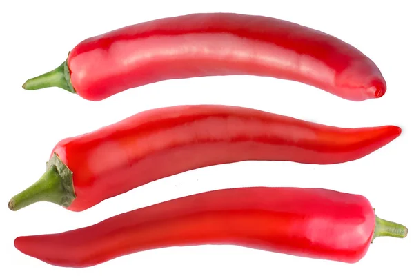 Samling av chili paprika isolerad på vit bakgrund — Stockfoto