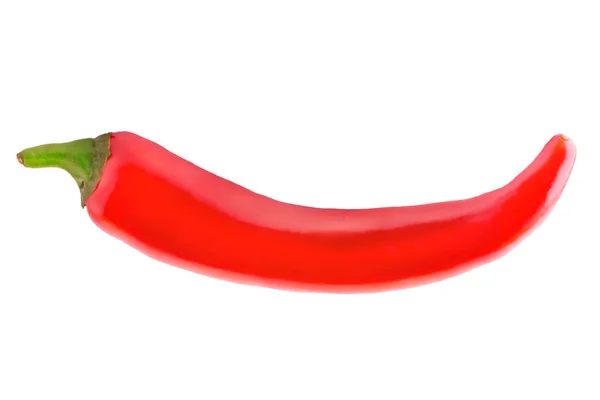 1 papryczka chili, izolowana na białym tle — Zdjęcie stockowe
