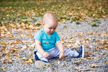 küçük çocuk sonbahar yaprakları ile oynama