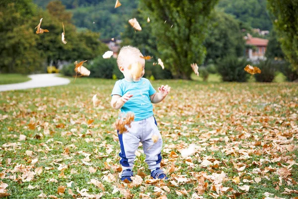 Malý chlapec hraje s listy na podzim — Stock fotografie
