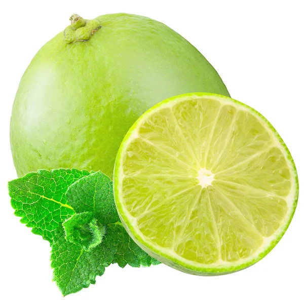 Isolated lime on white background with clipping path — Stock Photo, Image