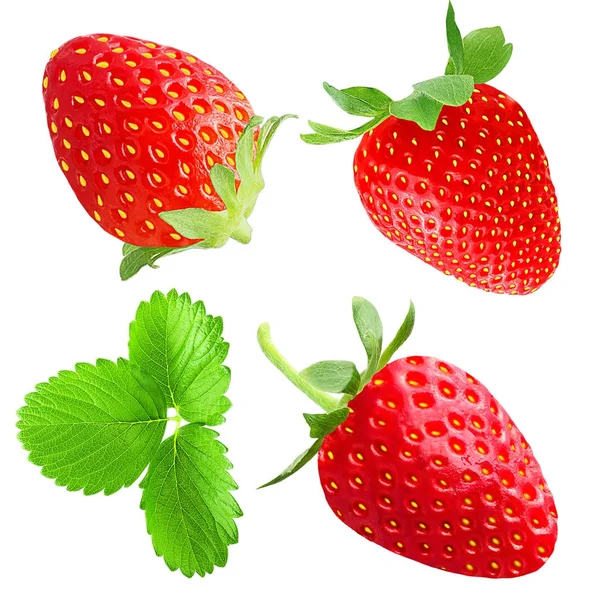 Sammlung von Erdbeeren isoliert auf weiß — Stockfoto
