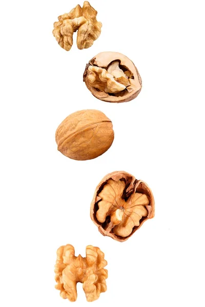 Padající ořechy na bílém — Stock fotografie