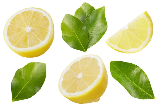 Samling av citron frukter med blad isolerad på vit — Stockfoto