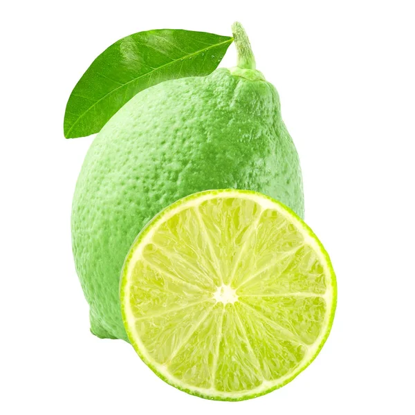 Two fresh lime fruits isolated on white background — Stock Photo, Image