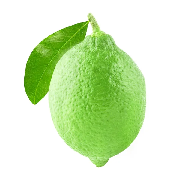Um limão inteiro com folha isolada em branco — Fotografia de Stock