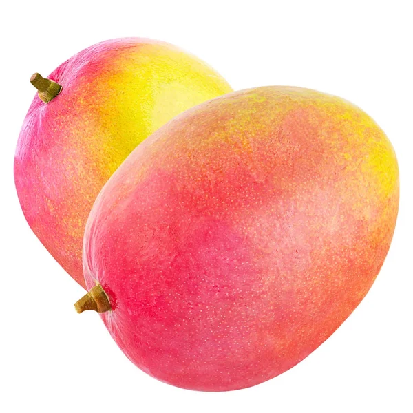 Two whole mango fruit isolated on white — Stock Photo, Image