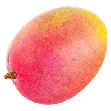  taze mango meyve üzerinde beyaz izole