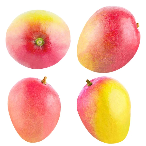 Sbírka izolovaných celé mango ovoce — Stock fotografie