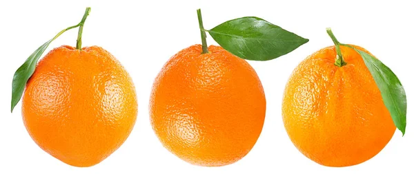 コレクション全体に白オレンジ 3 — ストック写真