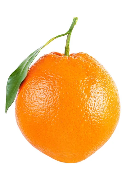 白に孤立した葉を持つオレンジの果実 — ストック写真