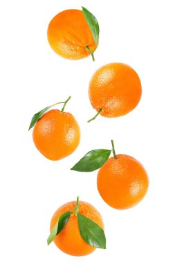 Tüm turuncu yaprak üzerinde beyaz izole düşen