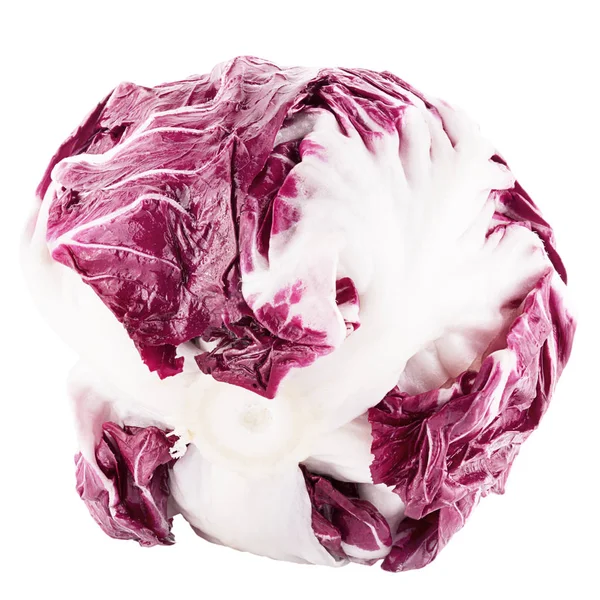 Piros saláta radicchio, fehér — Stock Fotó