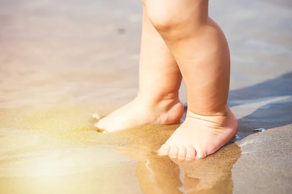 Baby feet walking on the beach