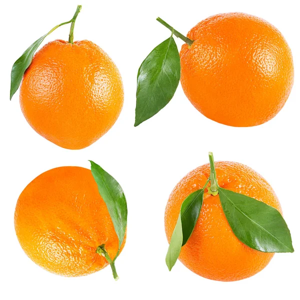 Samling av hela orange med leaf isolerad på vit — Stockfoto