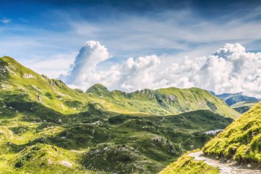 İnek Tito Secchi refuge Valsabbia, Brescia, İtalya'dan geçmek.