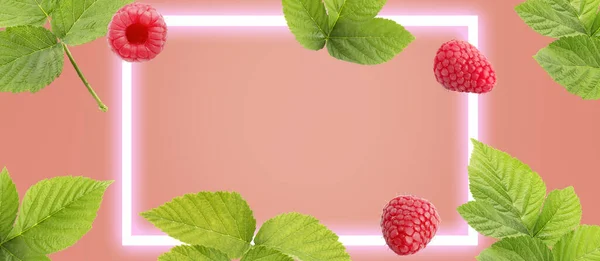 Food banner for website with fresh fruit top view