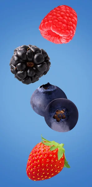 Schwebende Beerenfrüchte isoliert auf hellblauem Hintergrund — Stockfoto
