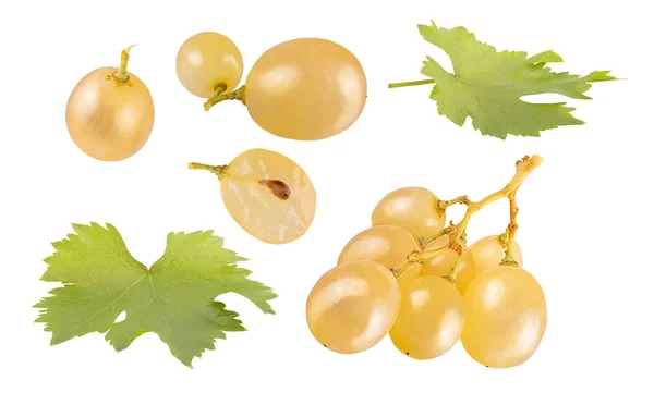 Weiße Trauben Sammlung isoliert auf weißem Hintergrund mit Clipping-Pfad — Stockfoto