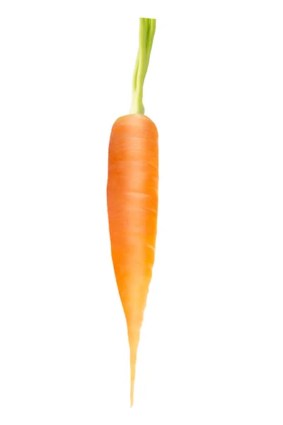 One whole fresh carrot on white background — Stock Photo, Image