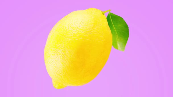 Citron frukt animation på en neon färgstark bakgrund — Stockvideo