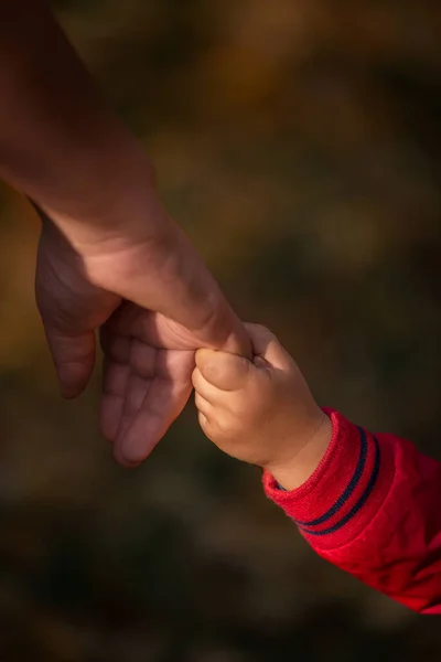 Baby hand gently holding adult mother finger — Stock Photo, Image