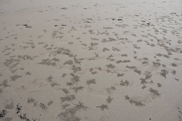 모래 해변에 패턴 — 스톡 사진